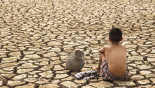The report comes ahead of the 15th COP on biodiversity and the 26th COP on climate